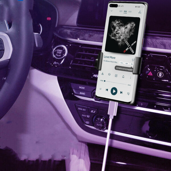 Fashion Speaker Amplifier Conversion Wire